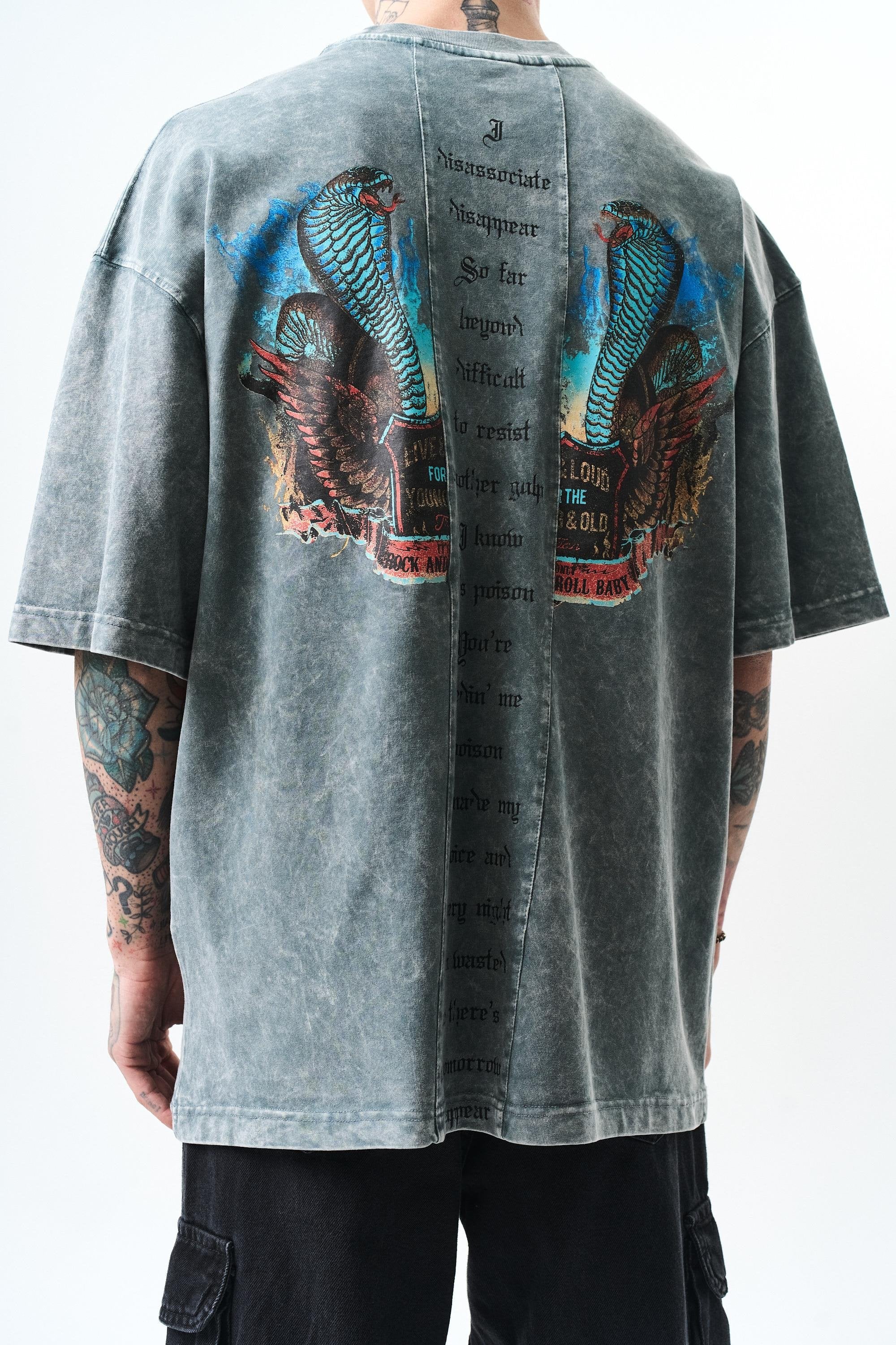 Men's Snake Printed Washable Oversize T-Shirt