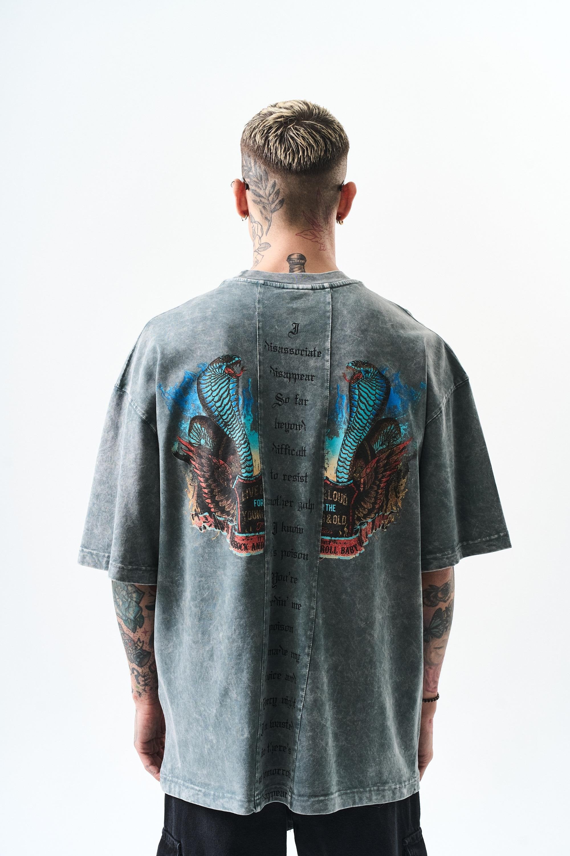 Men's Snake Printed Washable Oversize T-Shirt